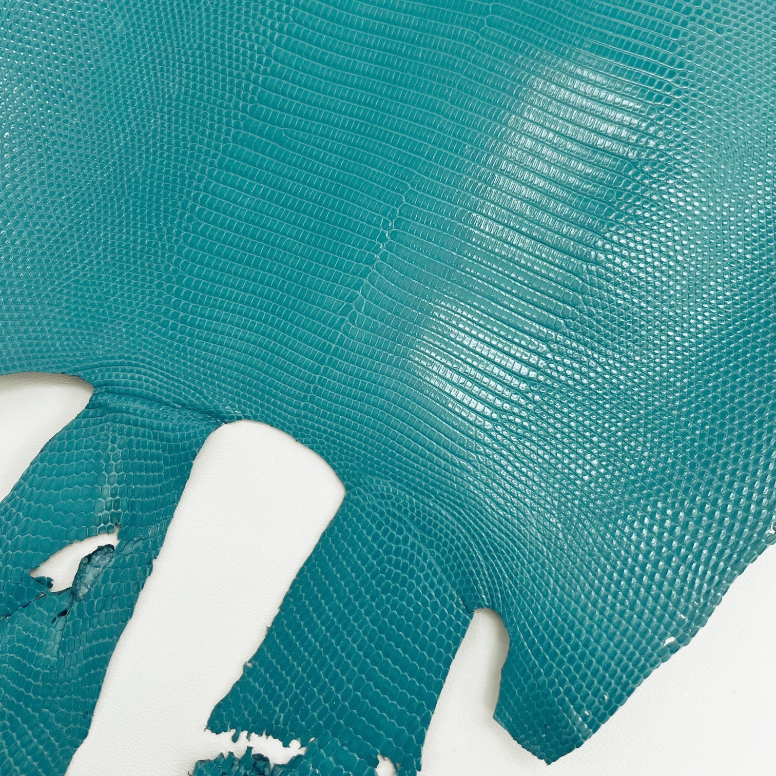 Lizard Skin | Turquoise (Back Cut)