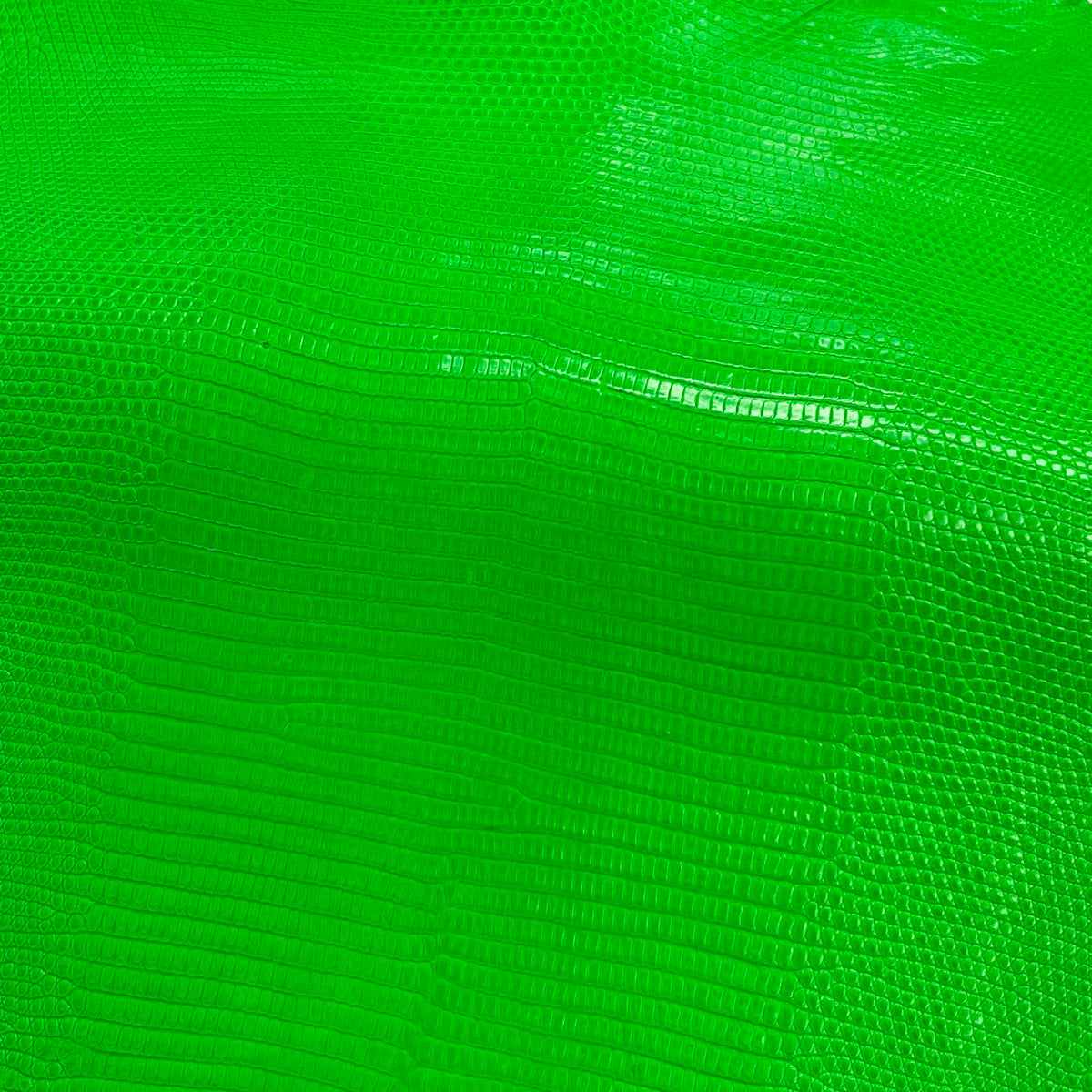 Lizard Skin | Neon Green (Back Cut)