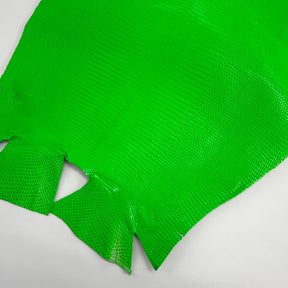 Lizard Skin | Neon Green (Back Cut)