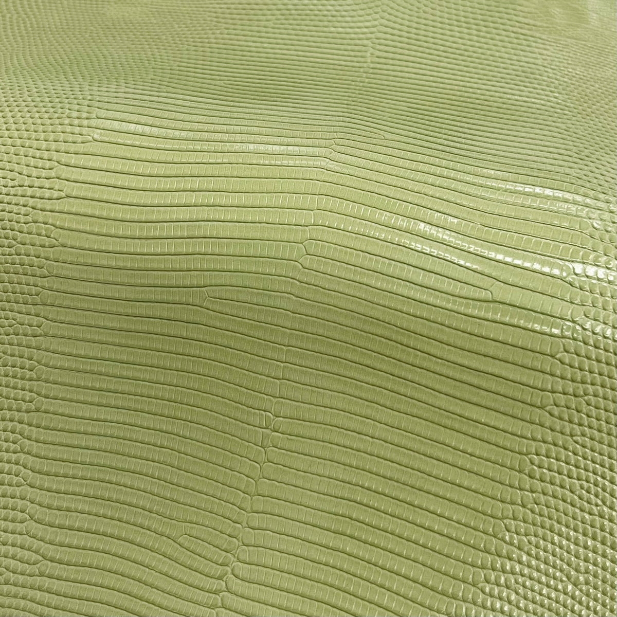 Lizard Skin | Beach net (Back Cut)