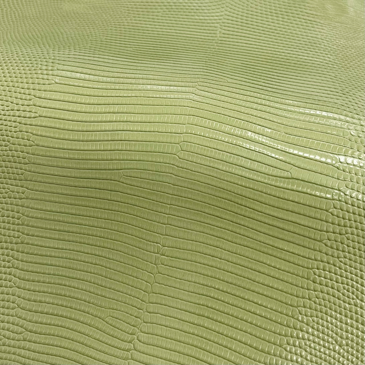 Lizard Skin | Beach net (Back Cut)