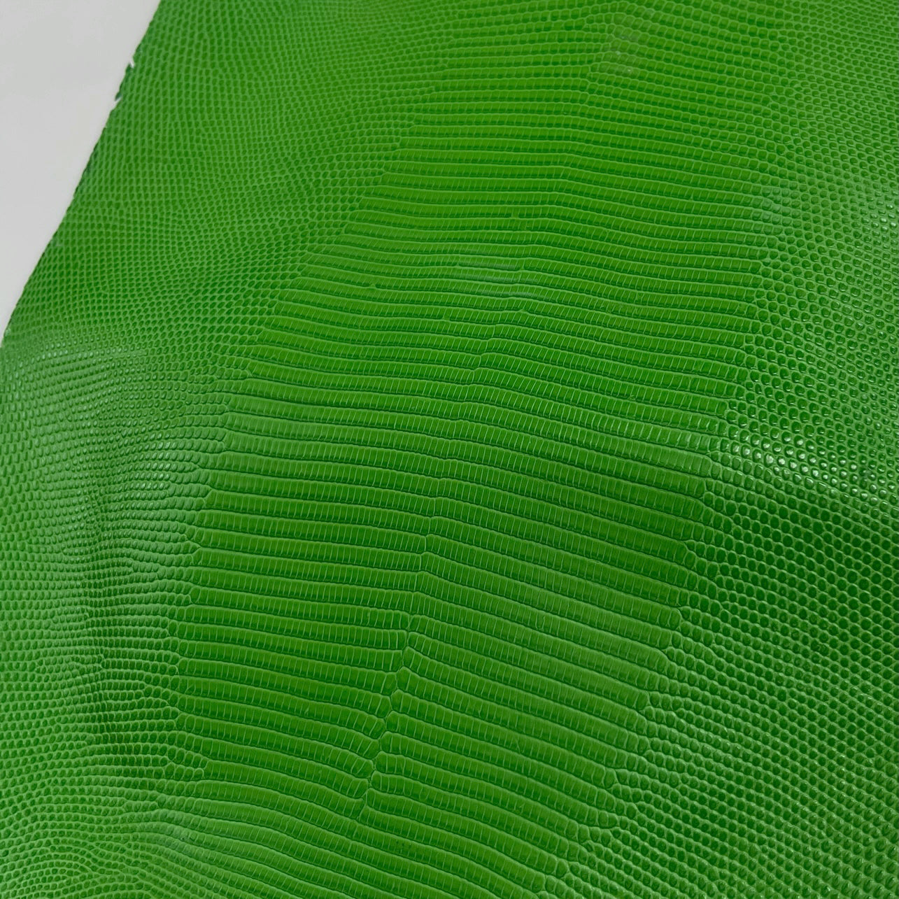 Lizard Skin | Patte Green (Back Cut)