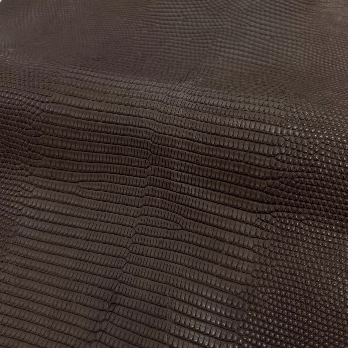 Lizard Skin | Brown Matte (Back Cut)