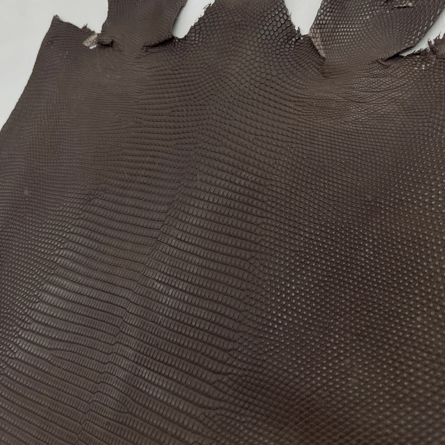 Lizard Skin | Brown Matte (Back Cut)