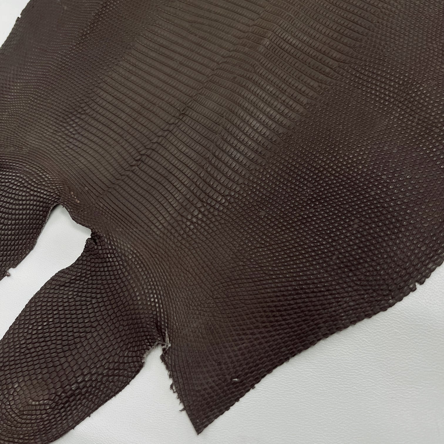 Lizard Skin | Brown Matte (Back Cut)