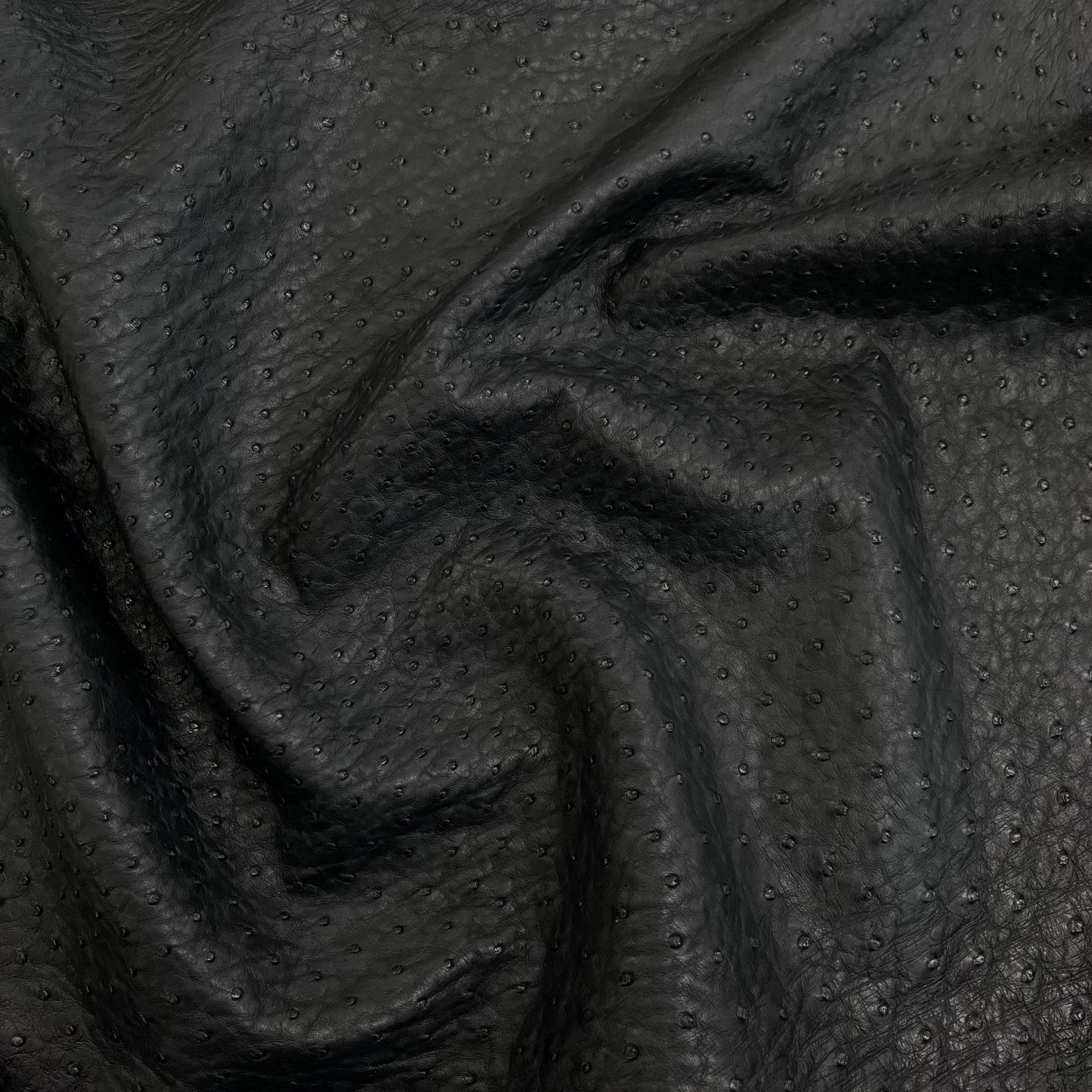 Ostrich Leather Hide | Black