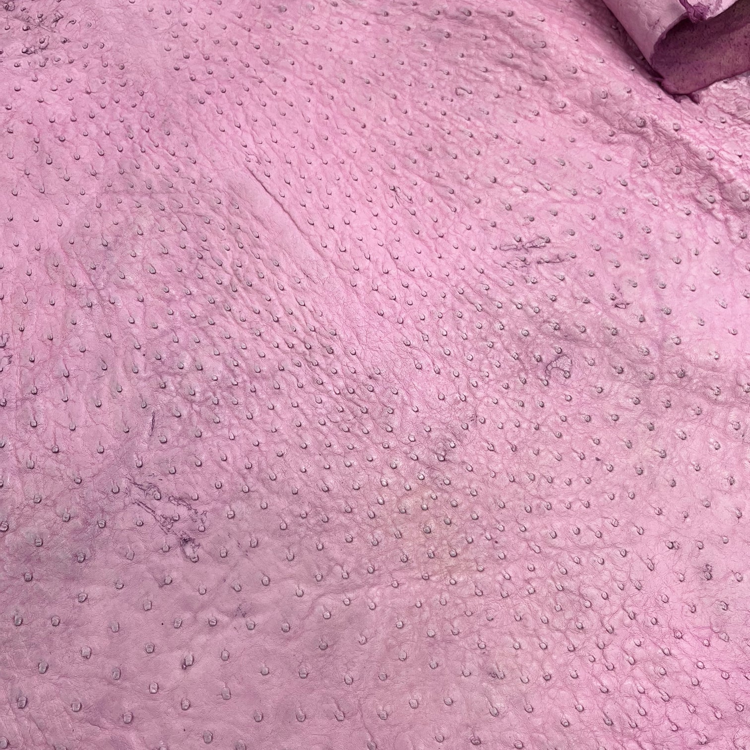 pink ostrich skin