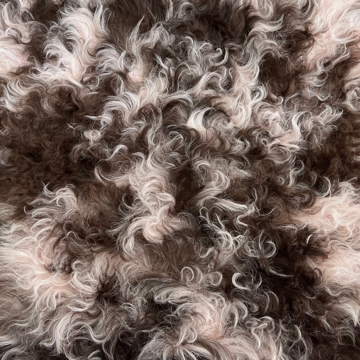Curly Merino Shearling | Light Pink & Brown