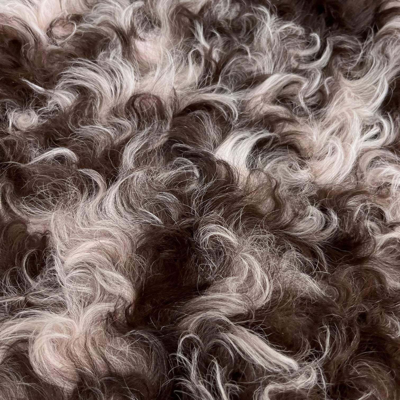 Curly Merino Shearling | Light Pink & Brown