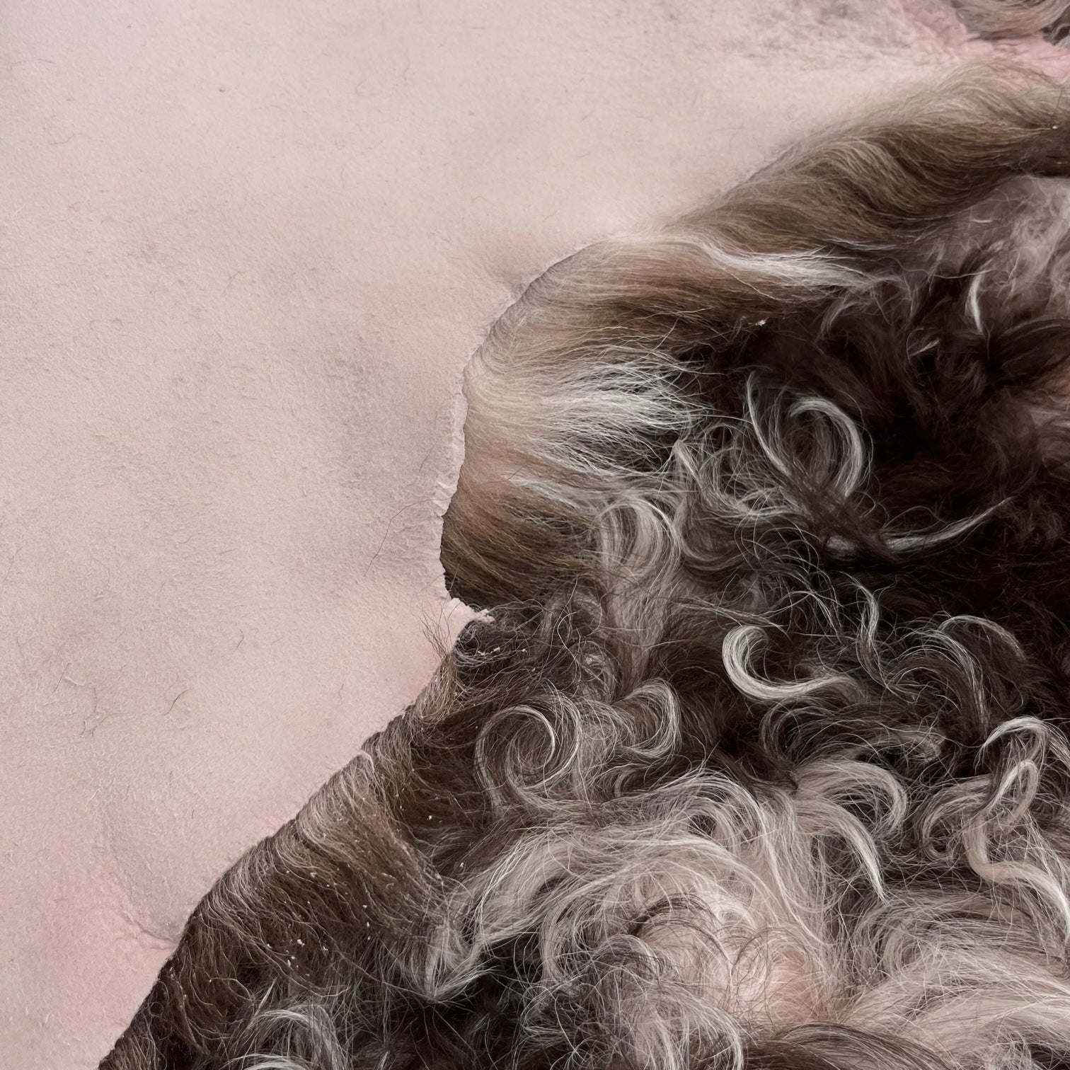 Curly Merino Shearling | Light Pink & Brown