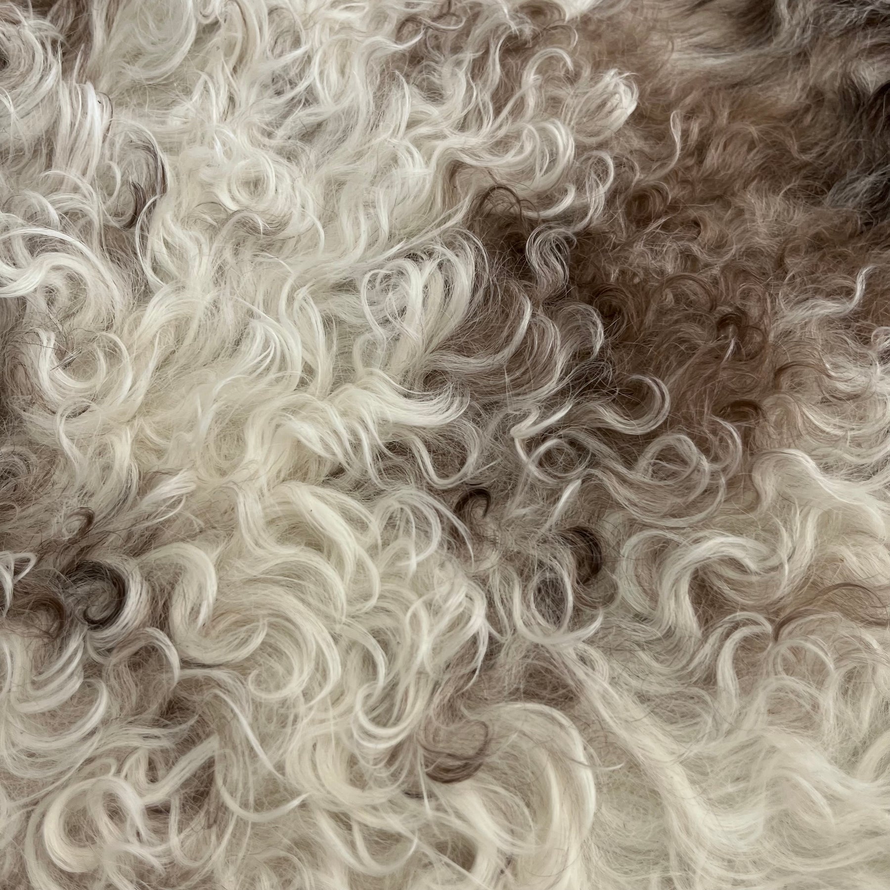 Curly Merino Shearling | Cream & Brown
