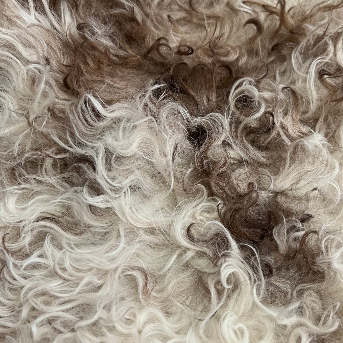 Curly Merino Shearling | Cream & Brown