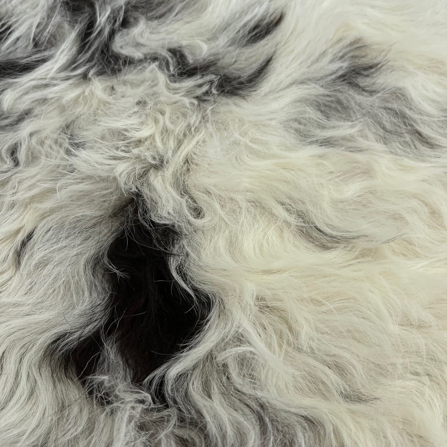Curly Tigrado Shearling | Ivory & Dark Brown