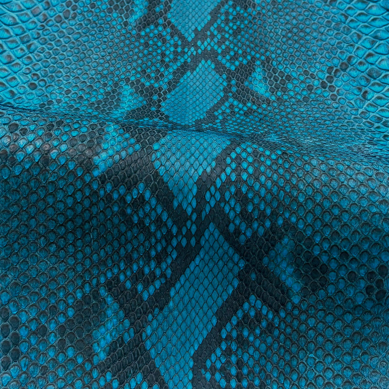 Python Turqoise Python Genuine Leather