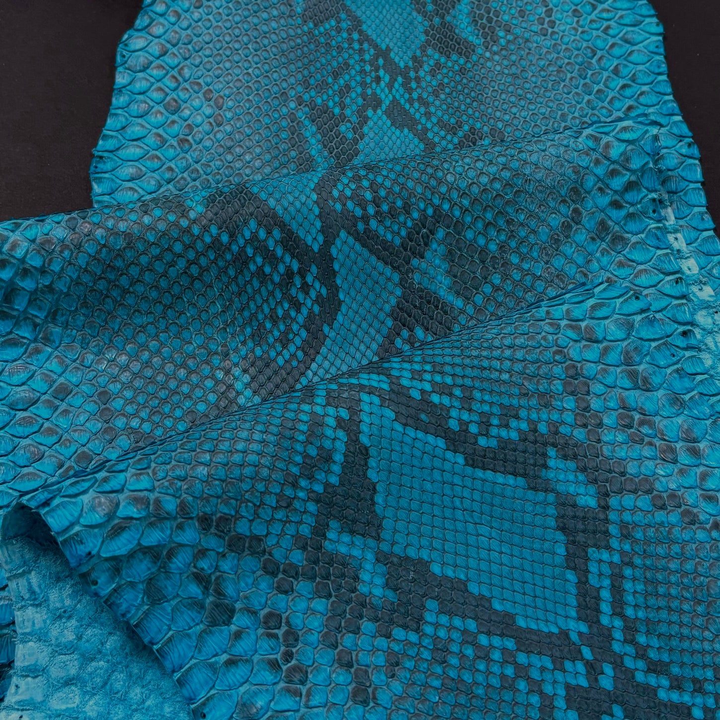 Python Matte | Turquoise | Front Cut Long Tail