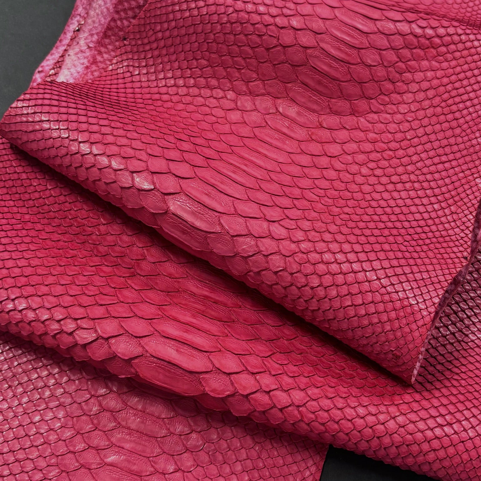 Python Matte | Cherry | Short Tail Back Cut