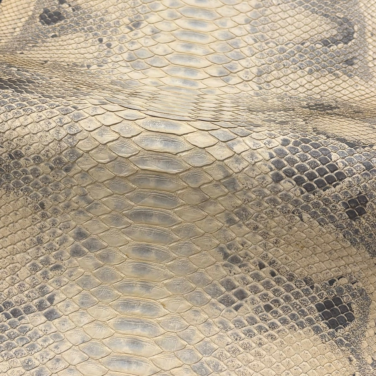 Python Genuine Leather