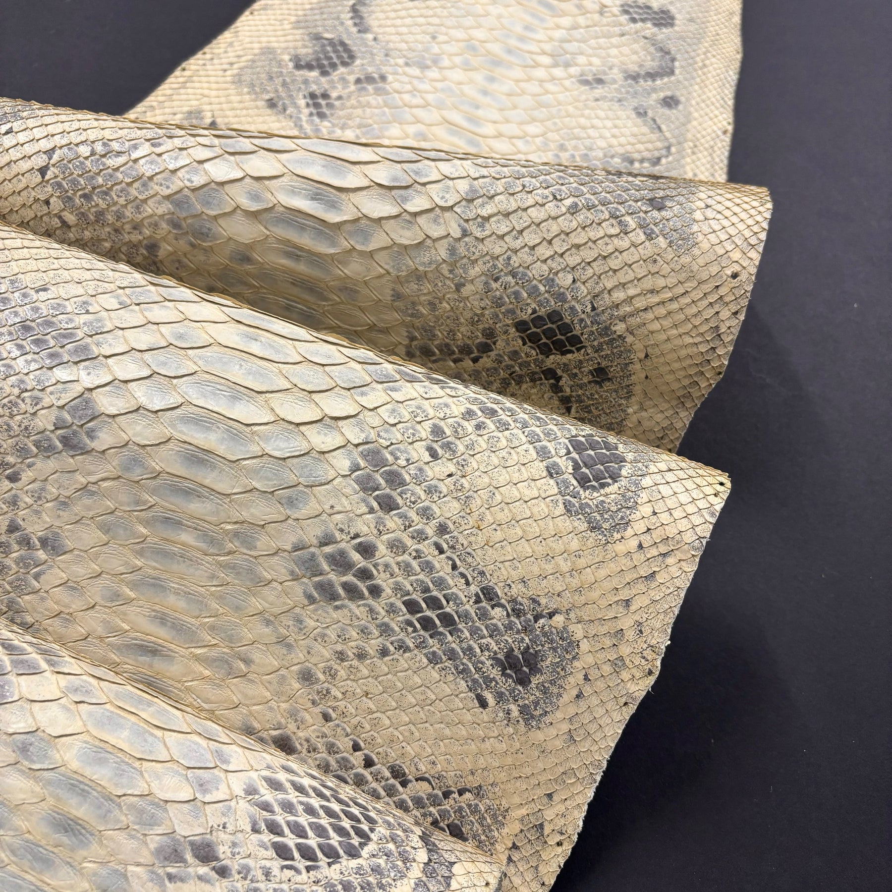 Matte Stainless Python Python Genuine Leather