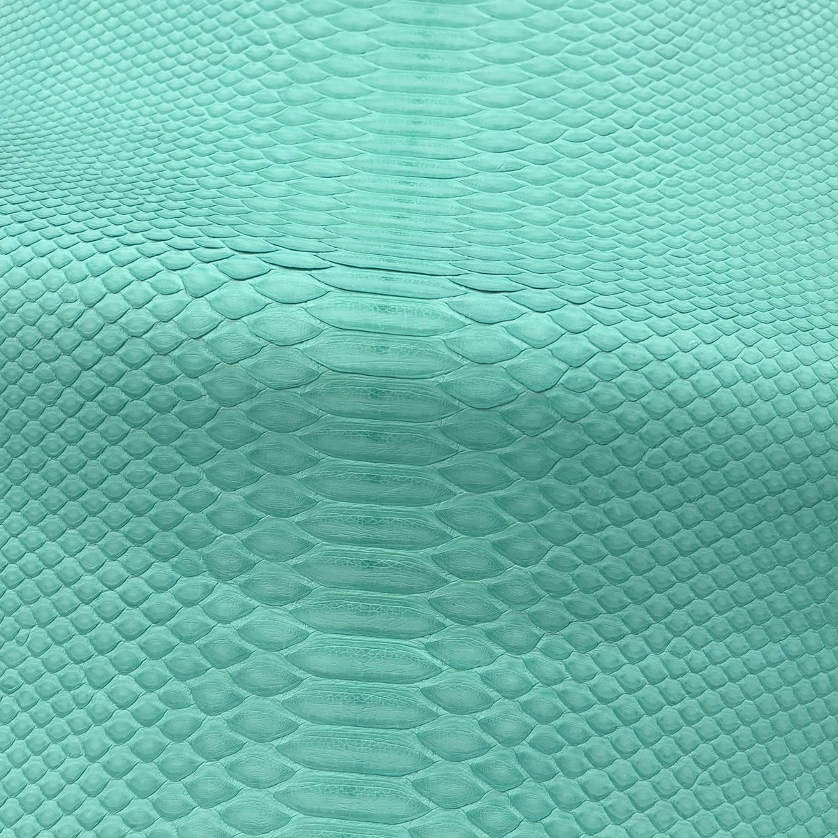 Python Matte | Mint | Short Tail Back Cut