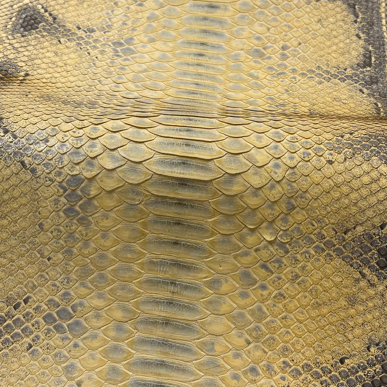 Python Leather Patchwiork Python Genuine Leather