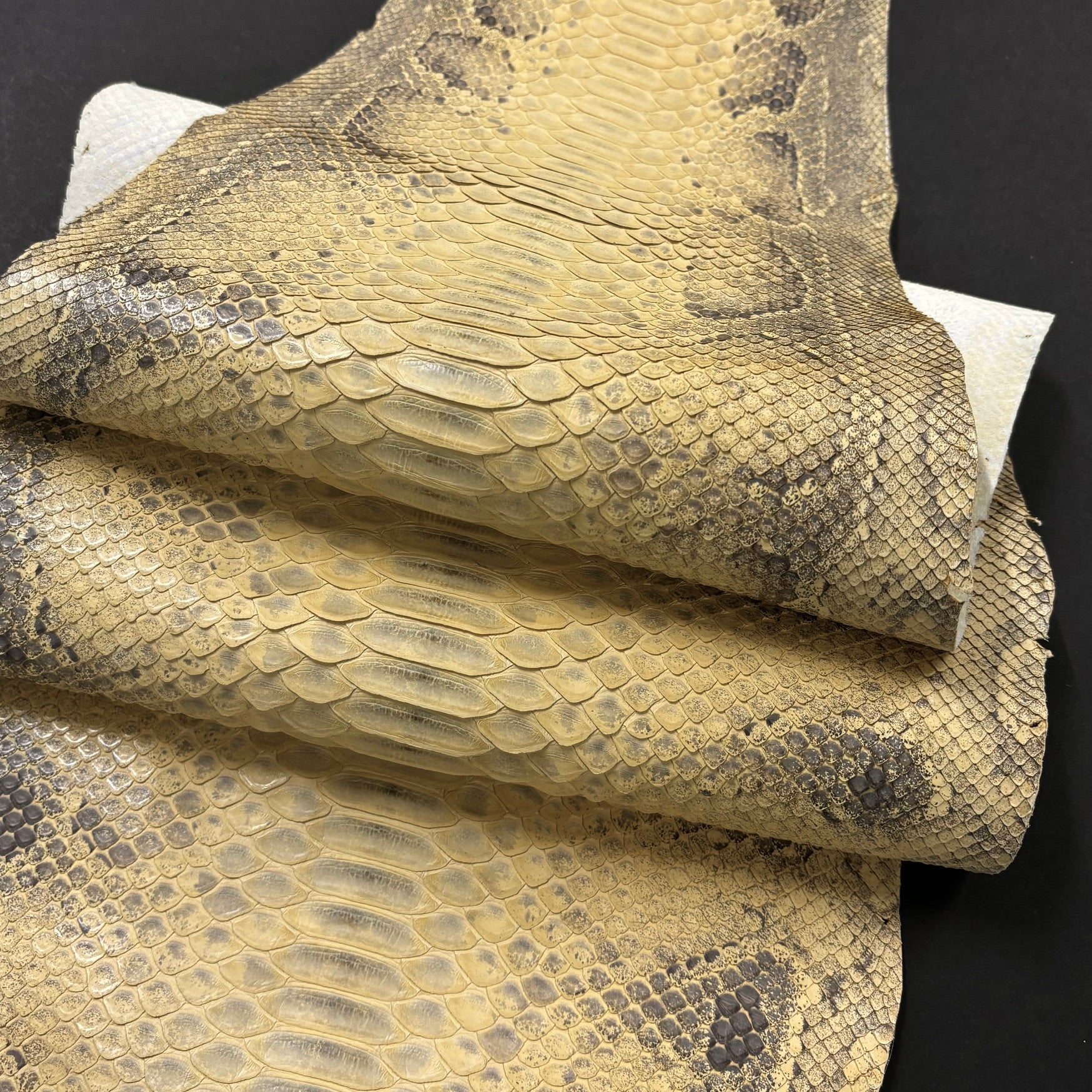 Python Genuine Leather