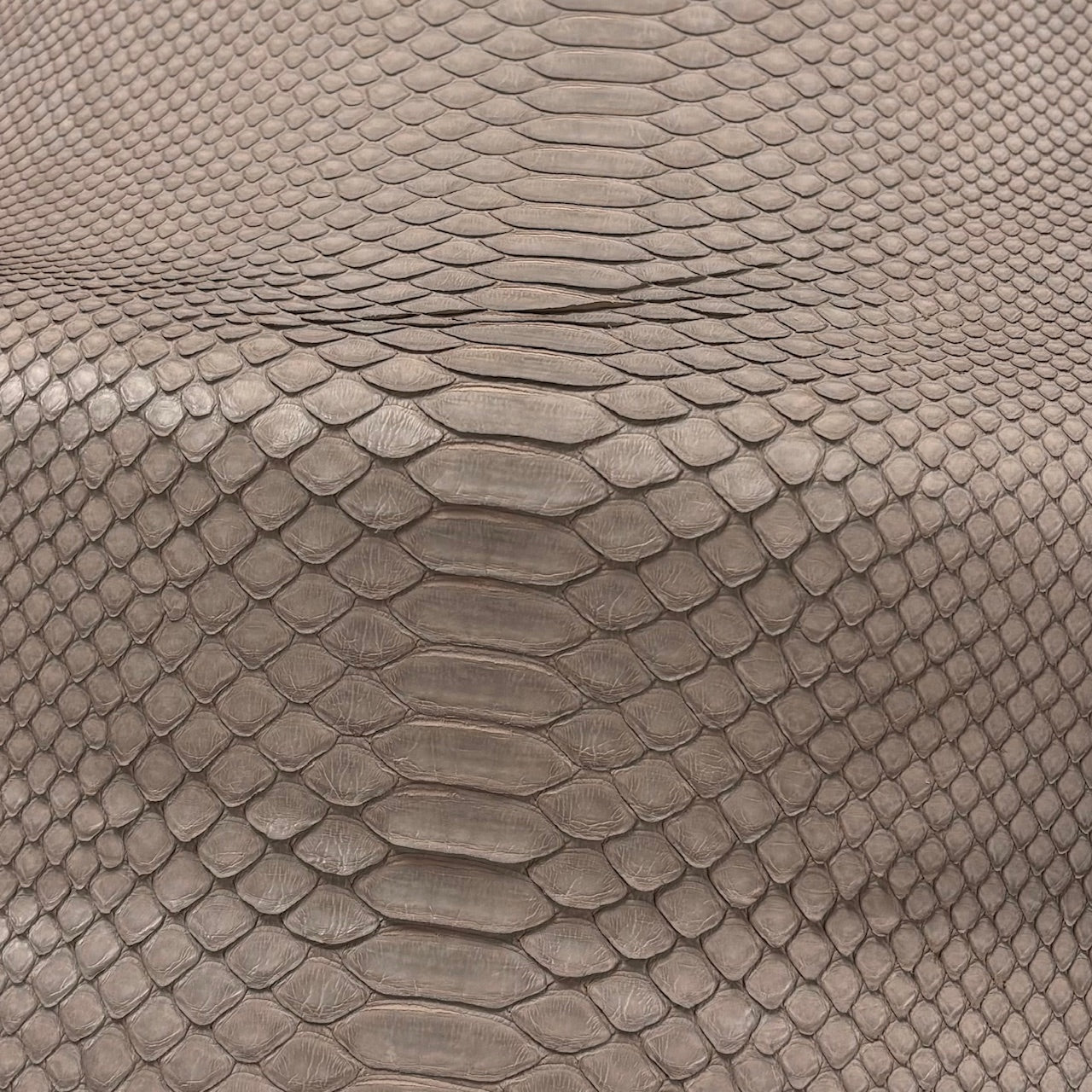 Python Genuine Leather