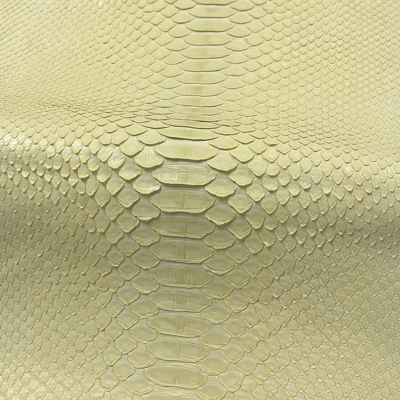 Matte Stainless Python Python Genuine Leather