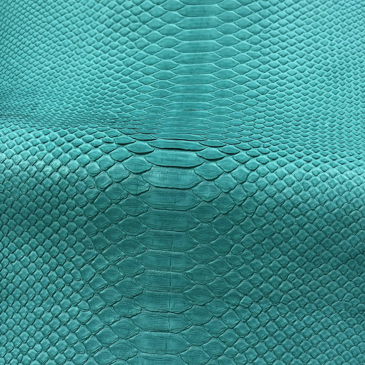 Python Matte | Turquoise Ocean | Back Cut Long Tail