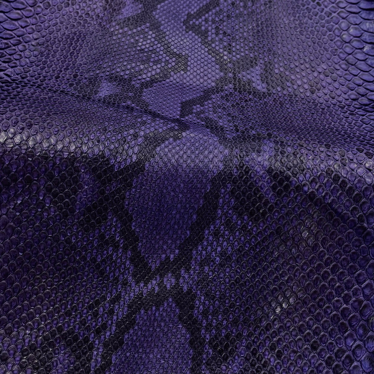 Python Matte | Eggplant | Front Cut Long Tail | 2 week lead