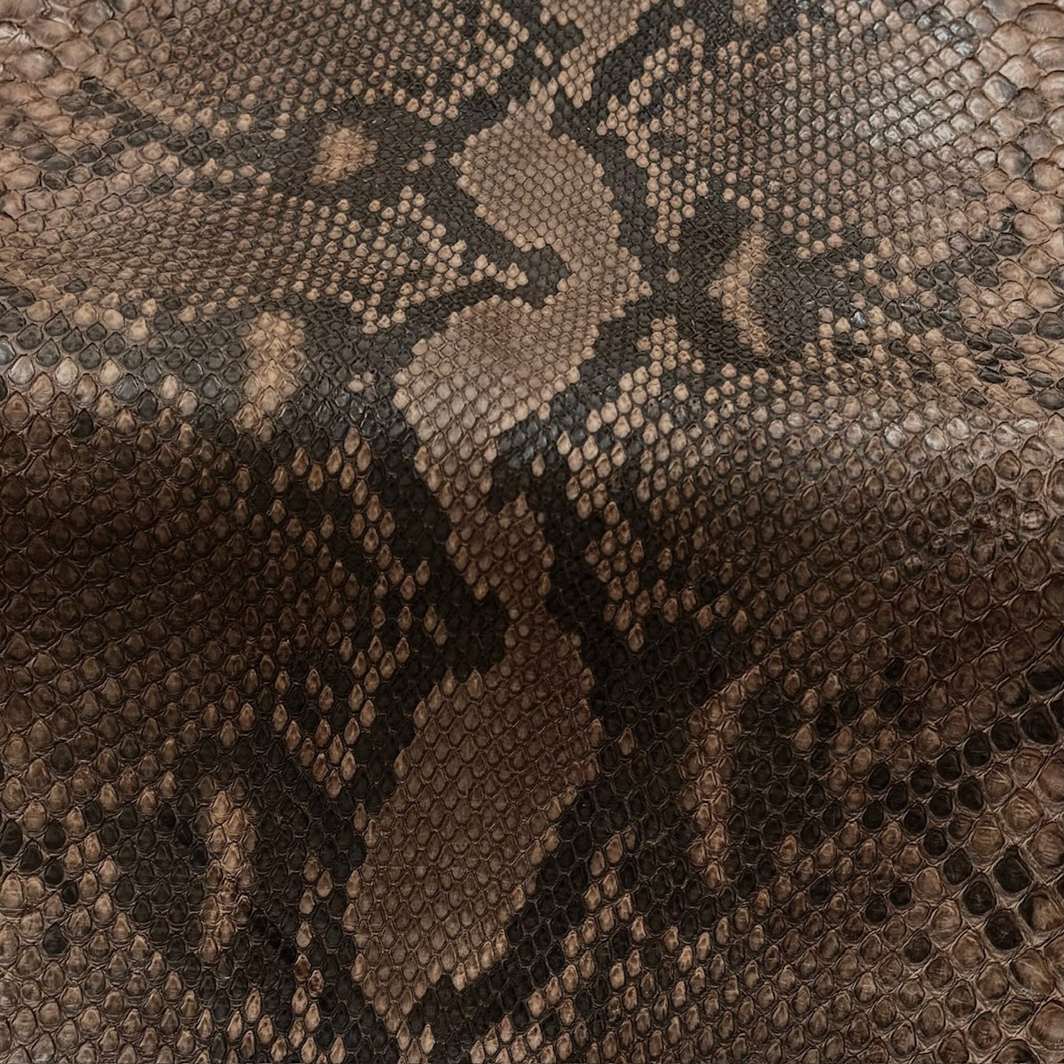 Python Matte | Taupe | Front Cut Long Tail