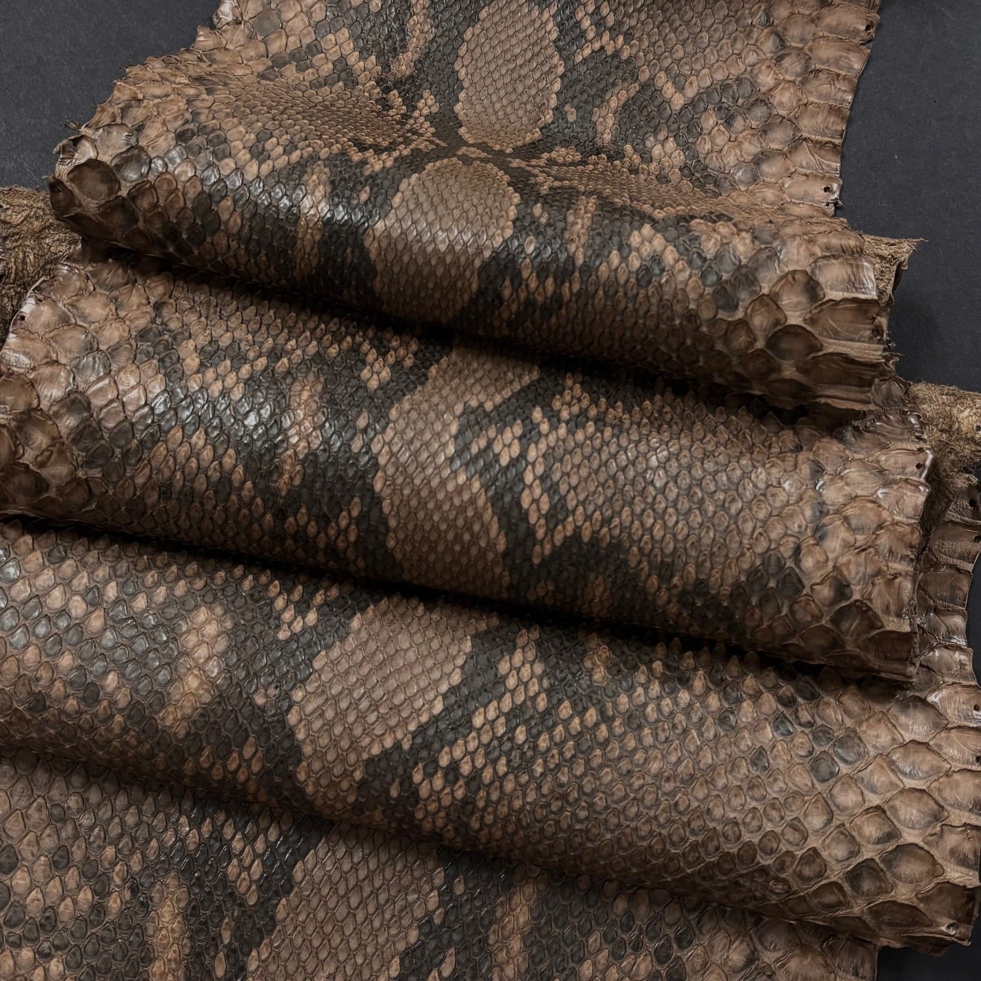 Python Genuine Leather