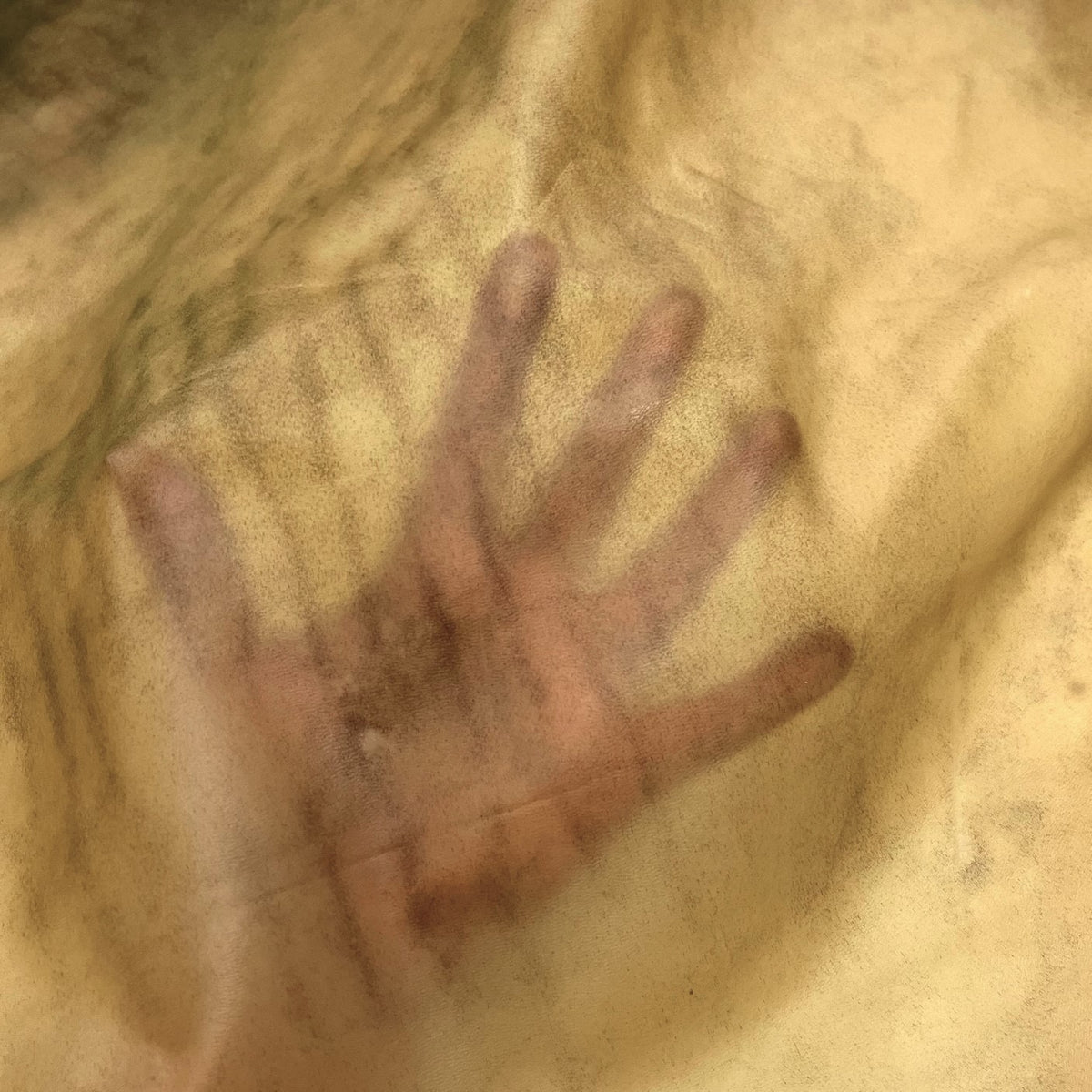 Extra Soft Transparent Translucent Leather Hide | Natural