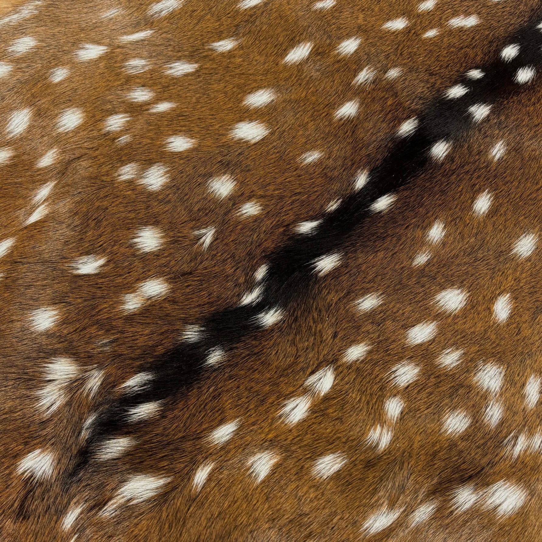 Axis Deer Hide Grade 1 Extra Large Perfect for Bags and Apparel