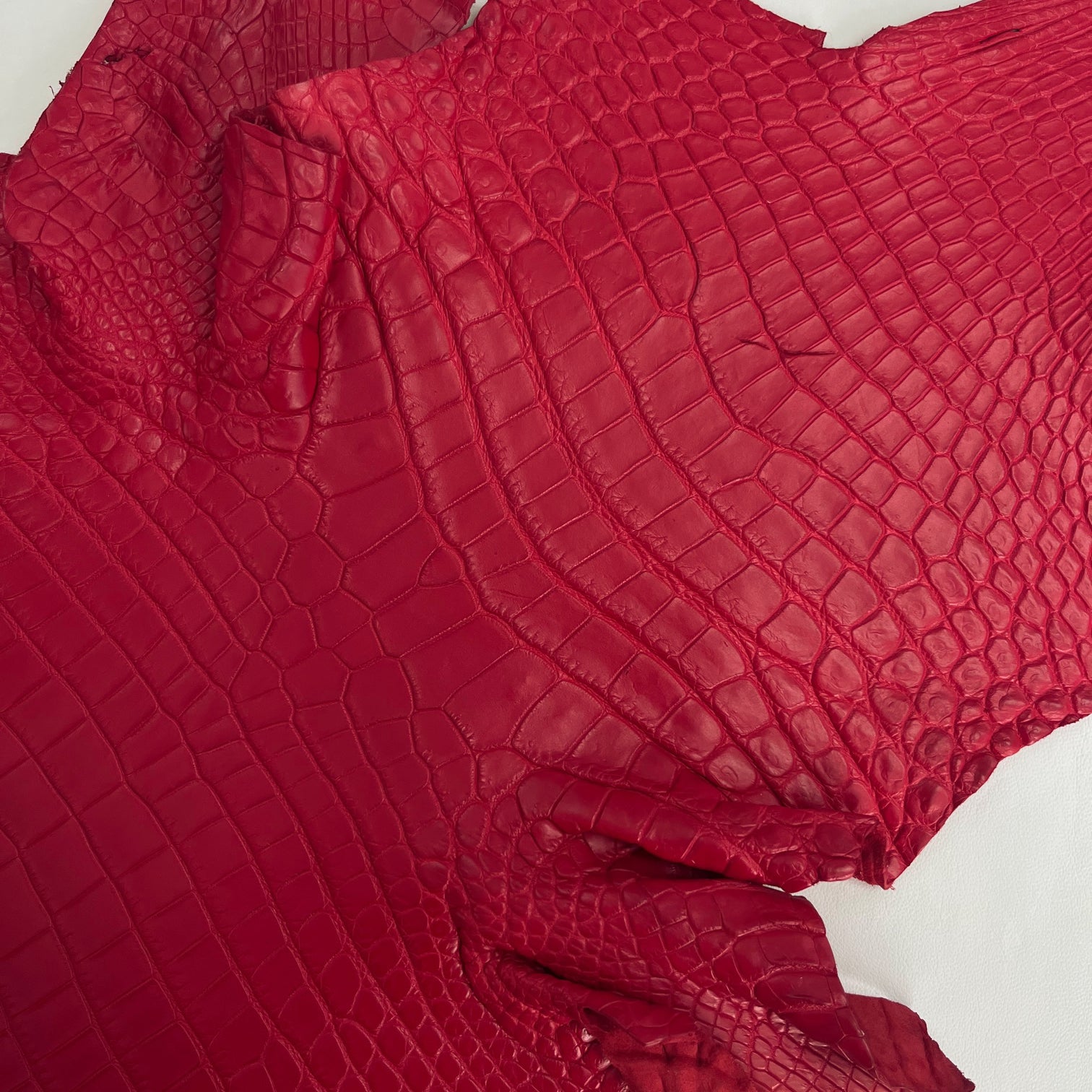 Red Italian-Made Crocodile | 39 cm