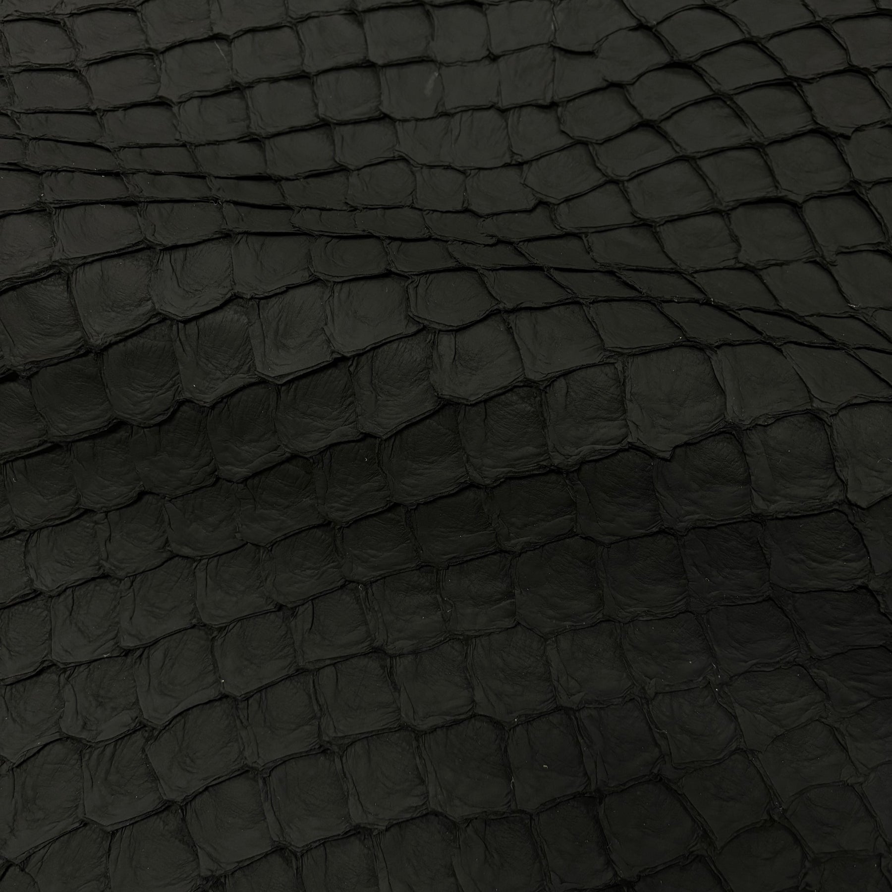 Matte Pirarucu Fish | Black