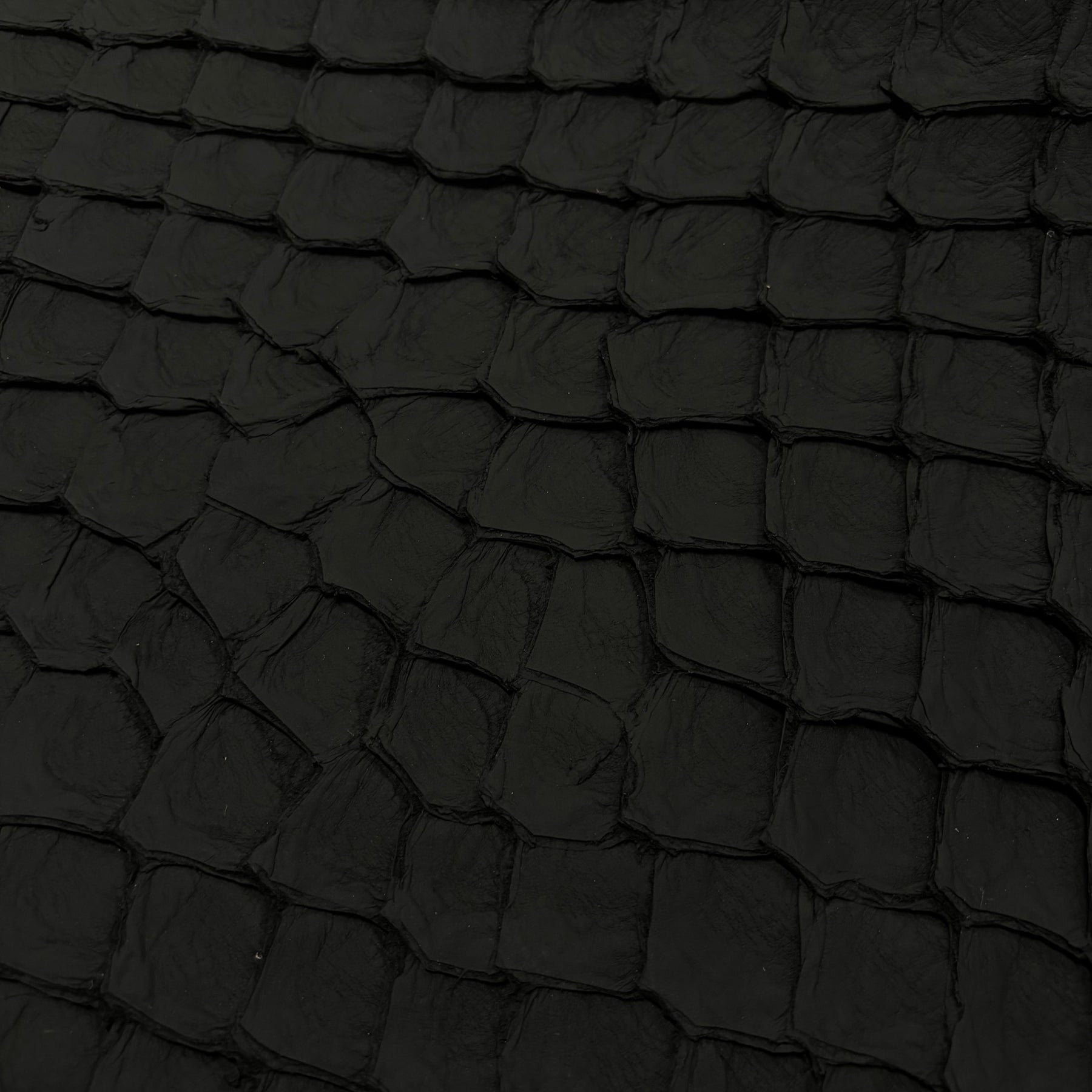Matte Pirarucu Fish | Black
