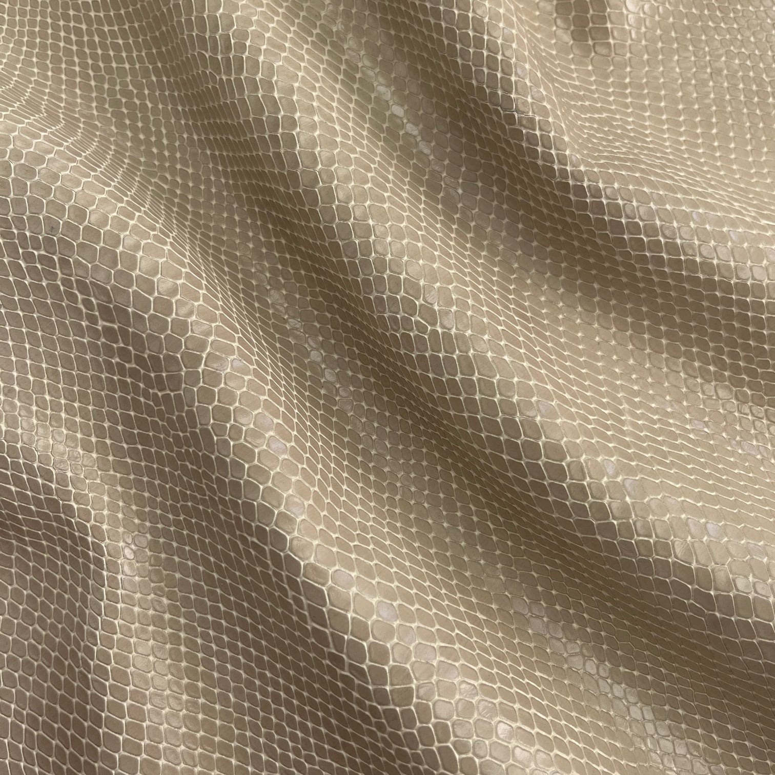SALE | Snake Embossed Cow Hide
