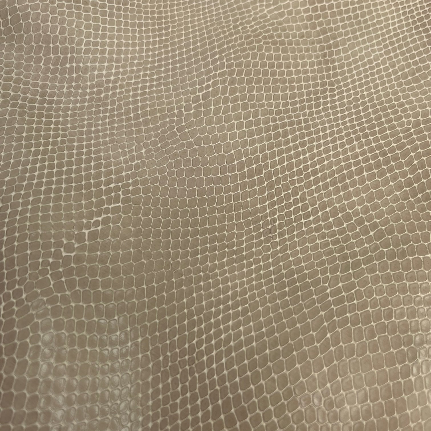 SALE | Snake Embossed Cow Hide
