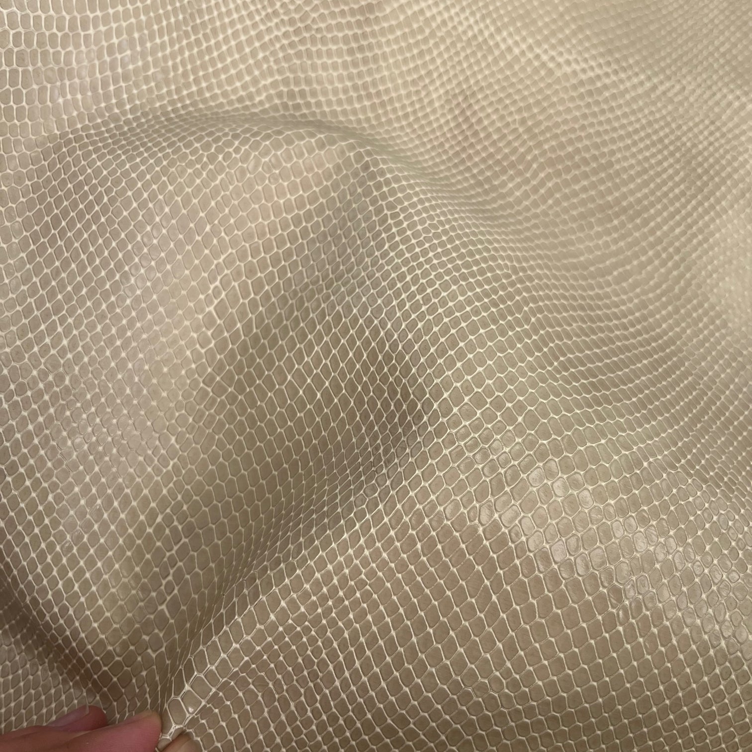SALE | Snake Embossed Cow Hide