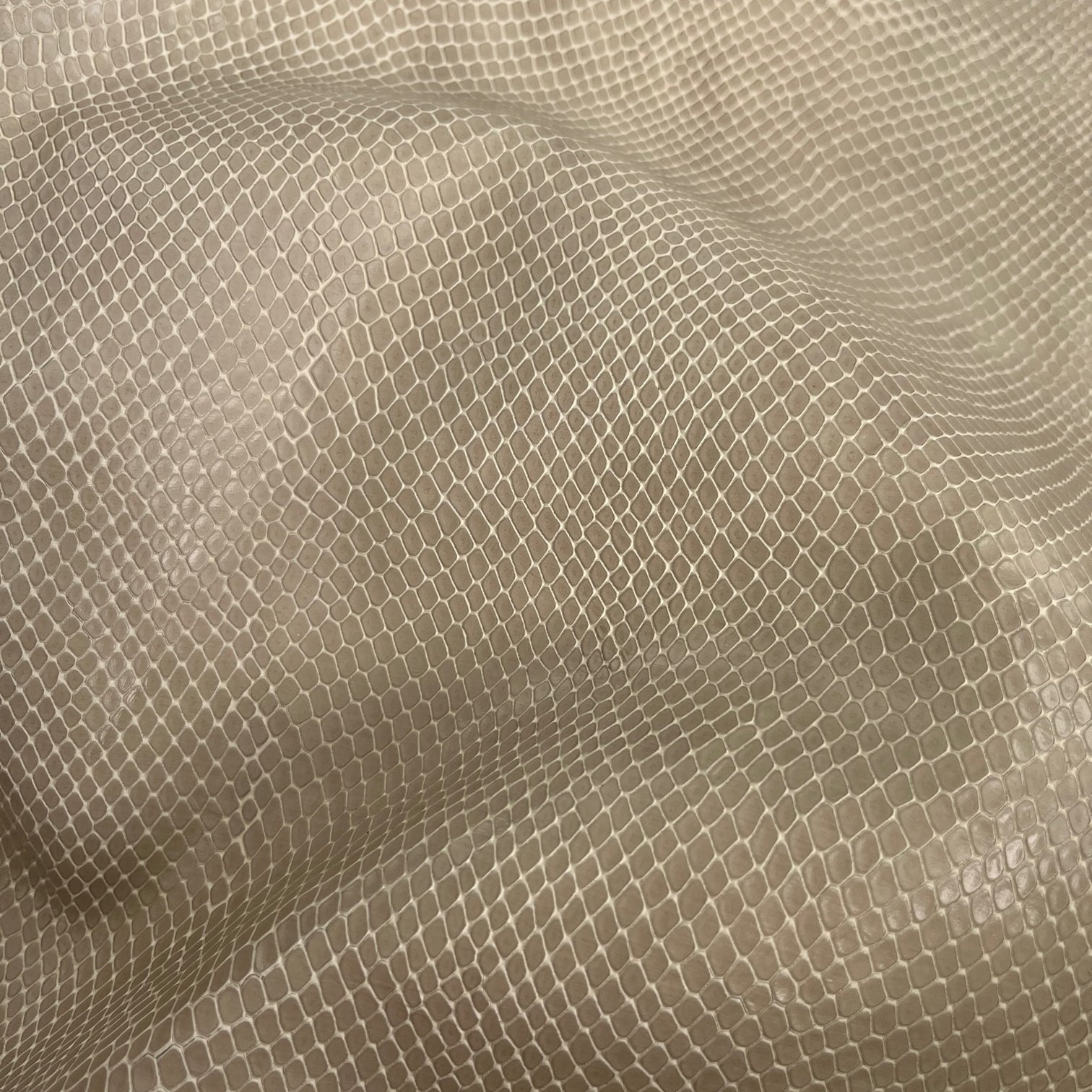 SALE | Snake Embossed Cow Hide