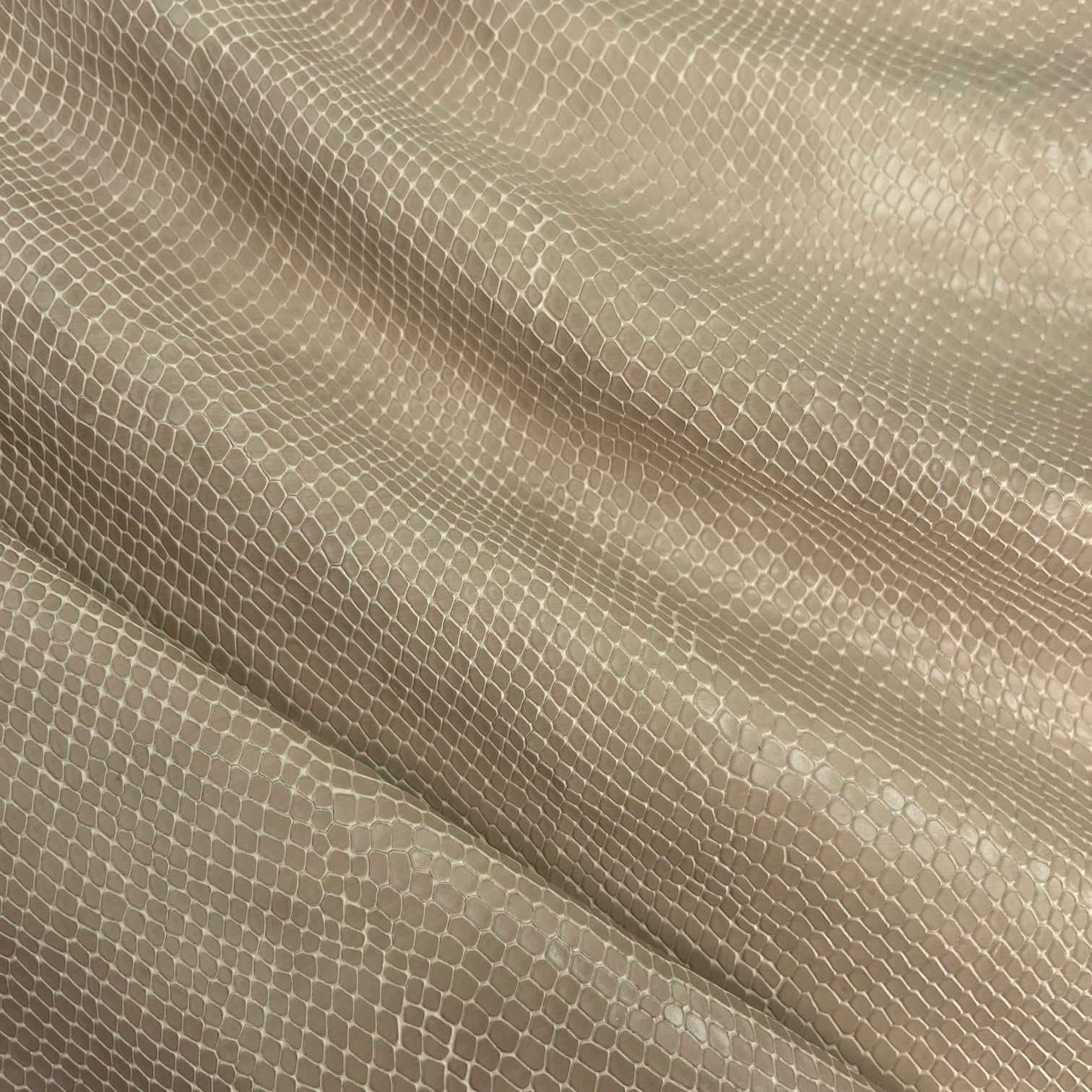 SALE | Snake Embossed Cow Hide