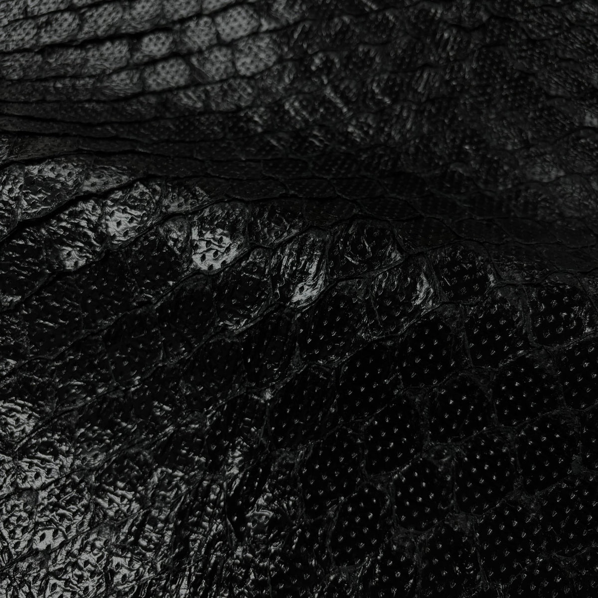 Perforated Pirarucu Fish | Patent Shiny Black