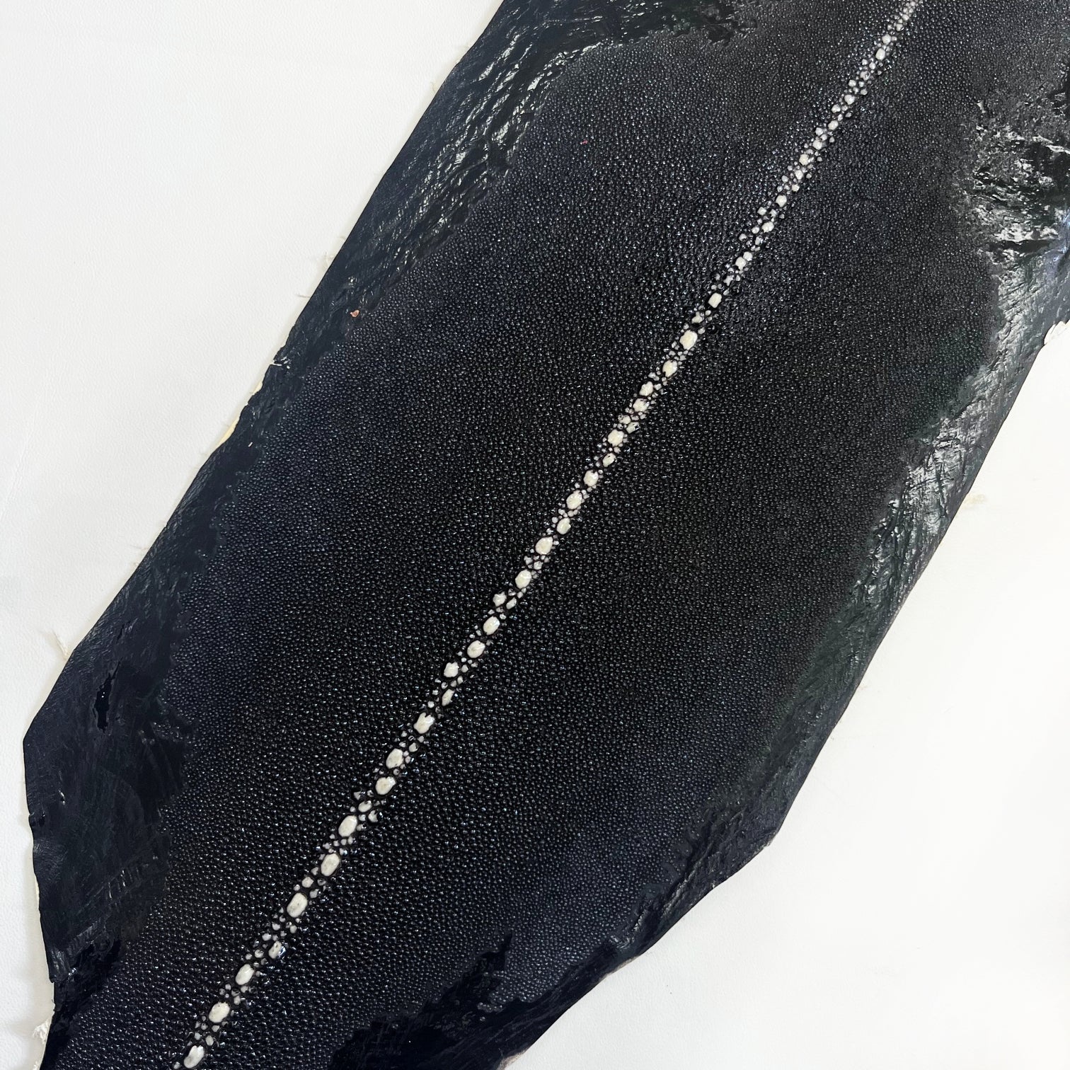 Row Stingray/Shagreen Genuine Skin | Ships in 2 weeks