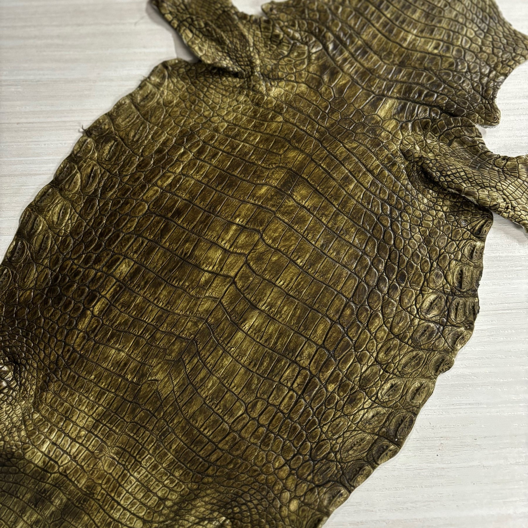 Hand-Painted Nile Crocodile #2 | 25 cm (3-4 Week Lead Time)
