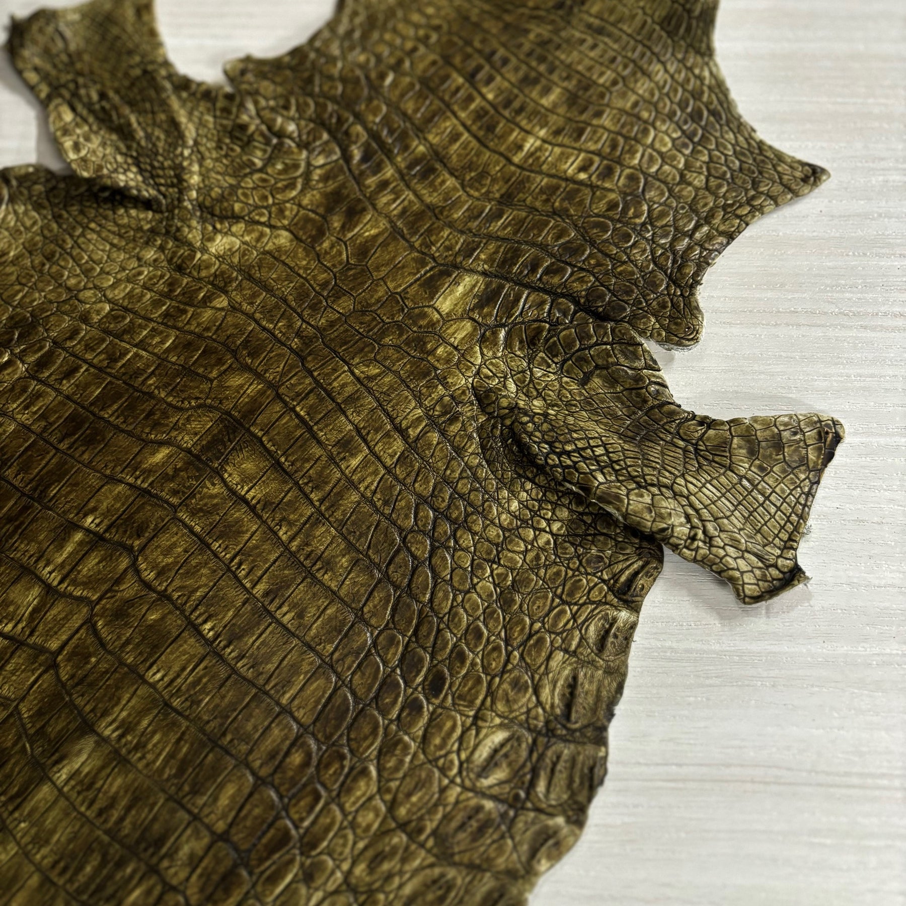 Hand-Painted Nile Crocodile #2 | 25 cm (3-4 Week Lead Time)