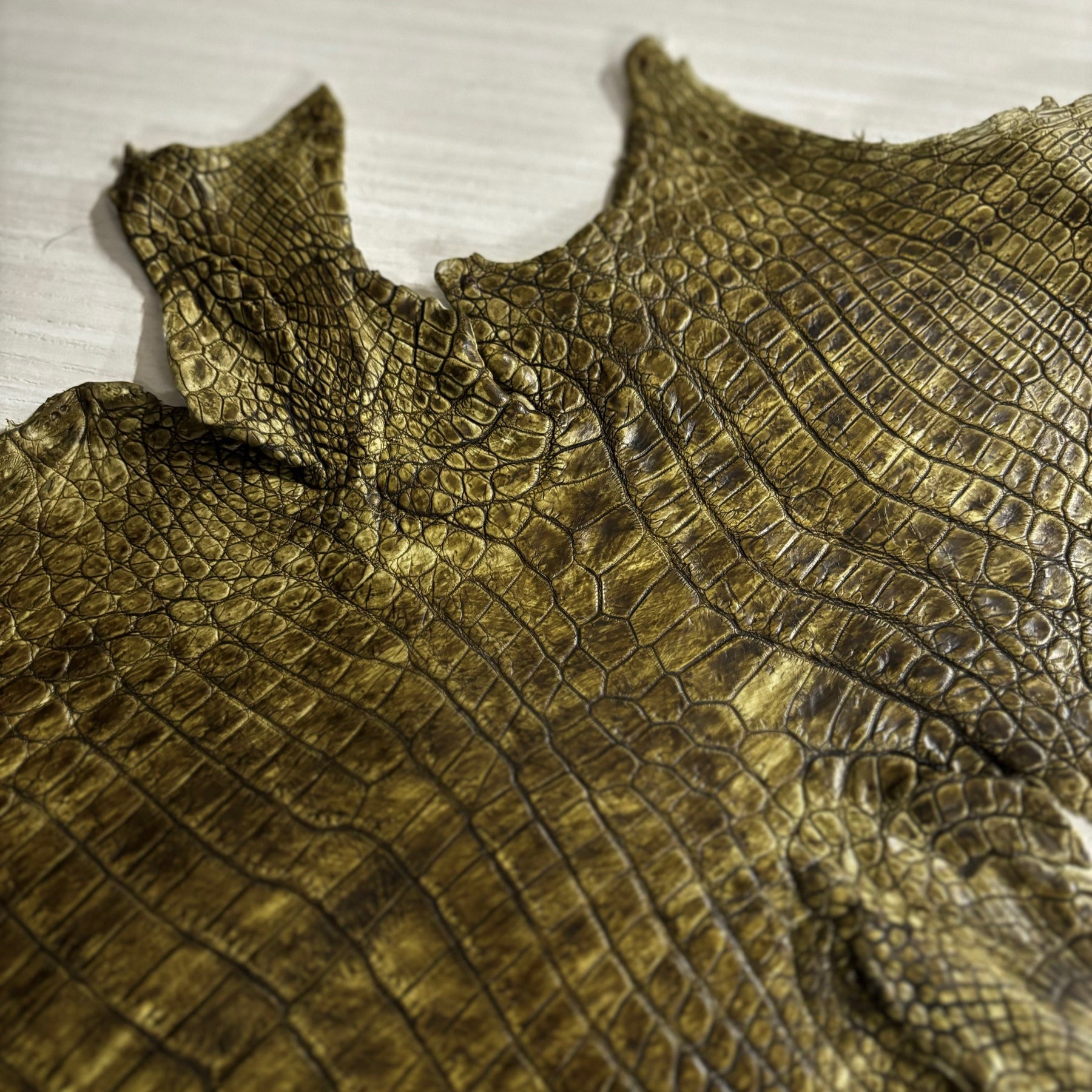 Hand-Painted Nile Crocodile #2 | 25 cm (3-4 Week Lead Time)
