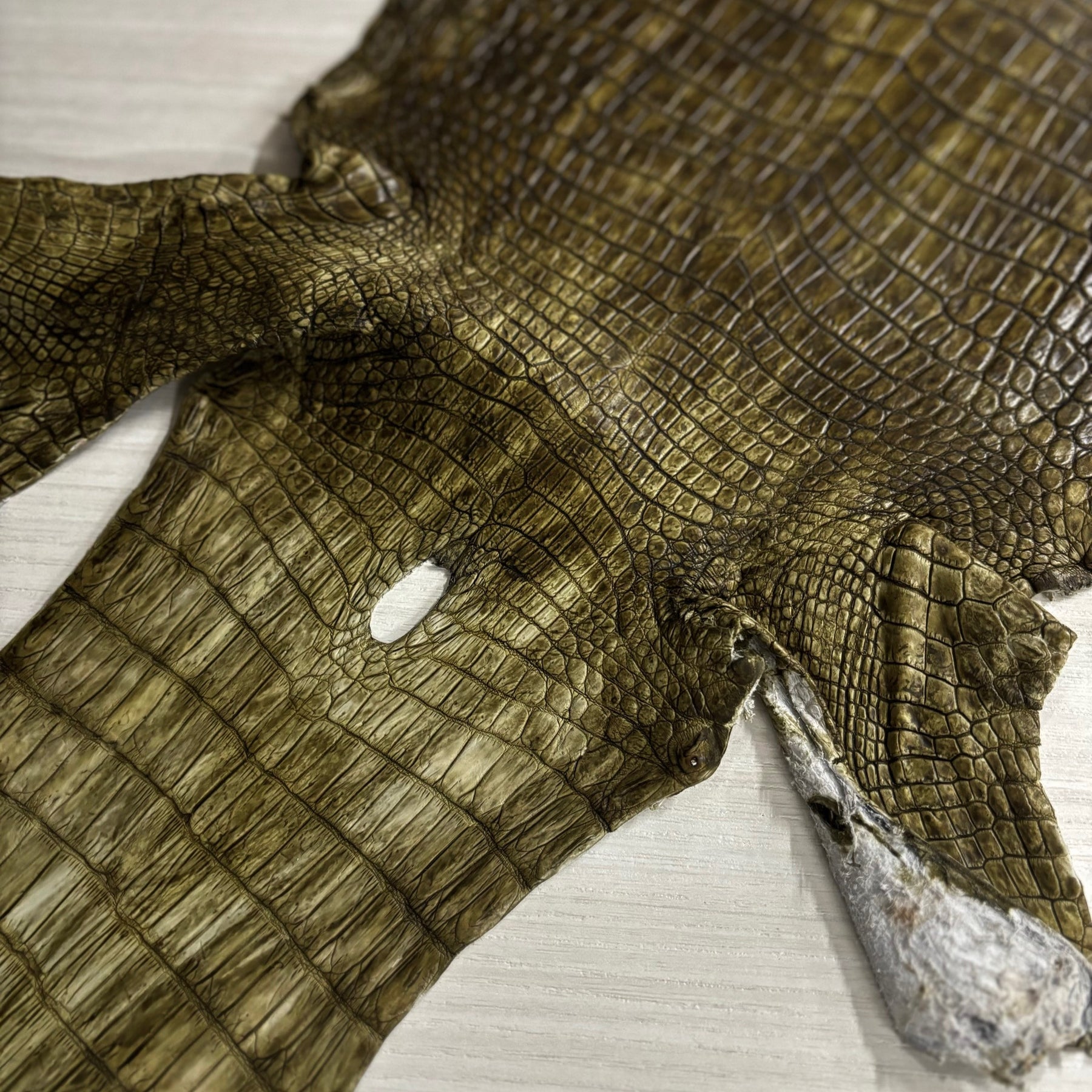 Hand-Painted Nile Crocodile #2 | 25 cm (3-4 Week Lead Time)