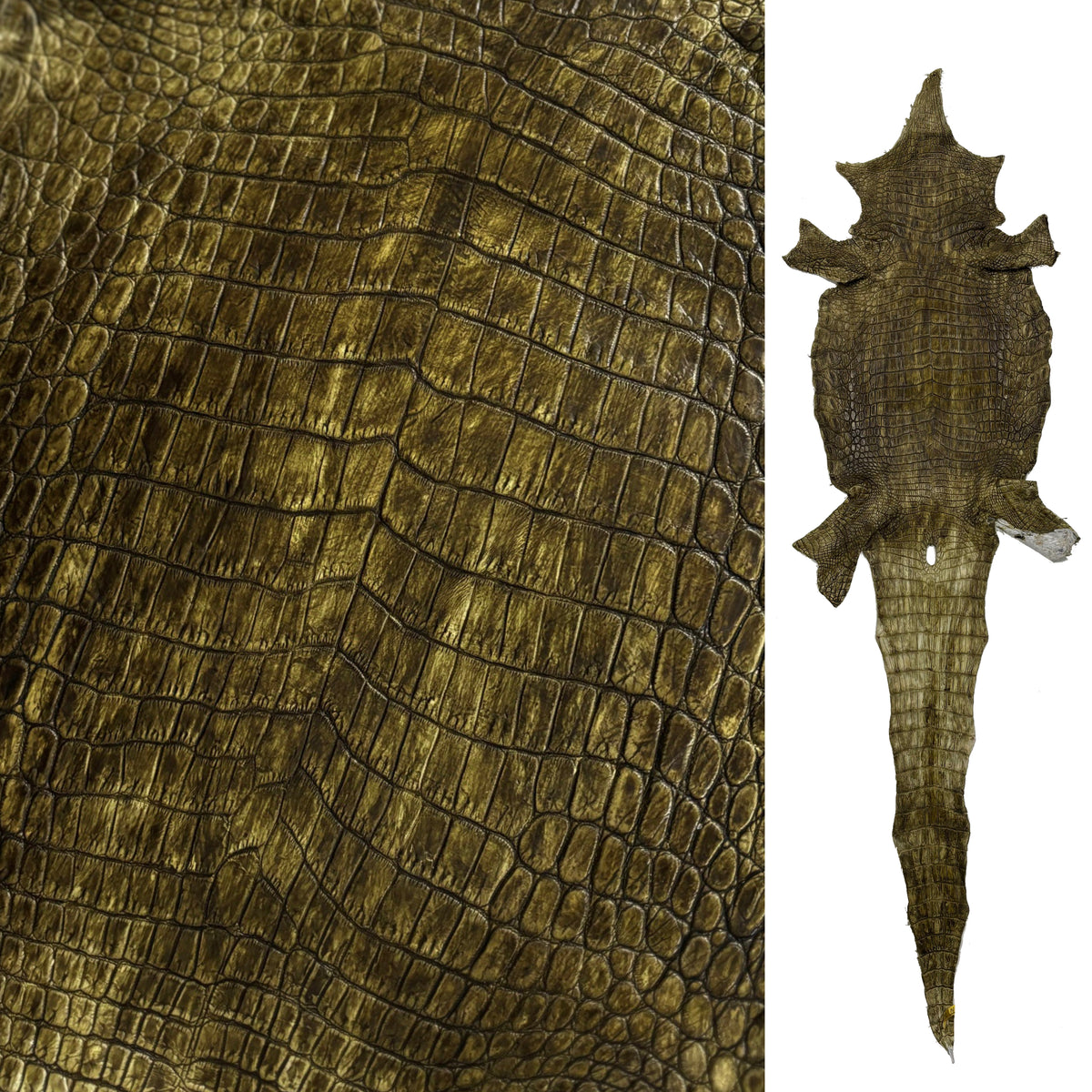 Hand-Painted Nile Crocodile #2 | 25 cm (3-4 Week Lead Time)