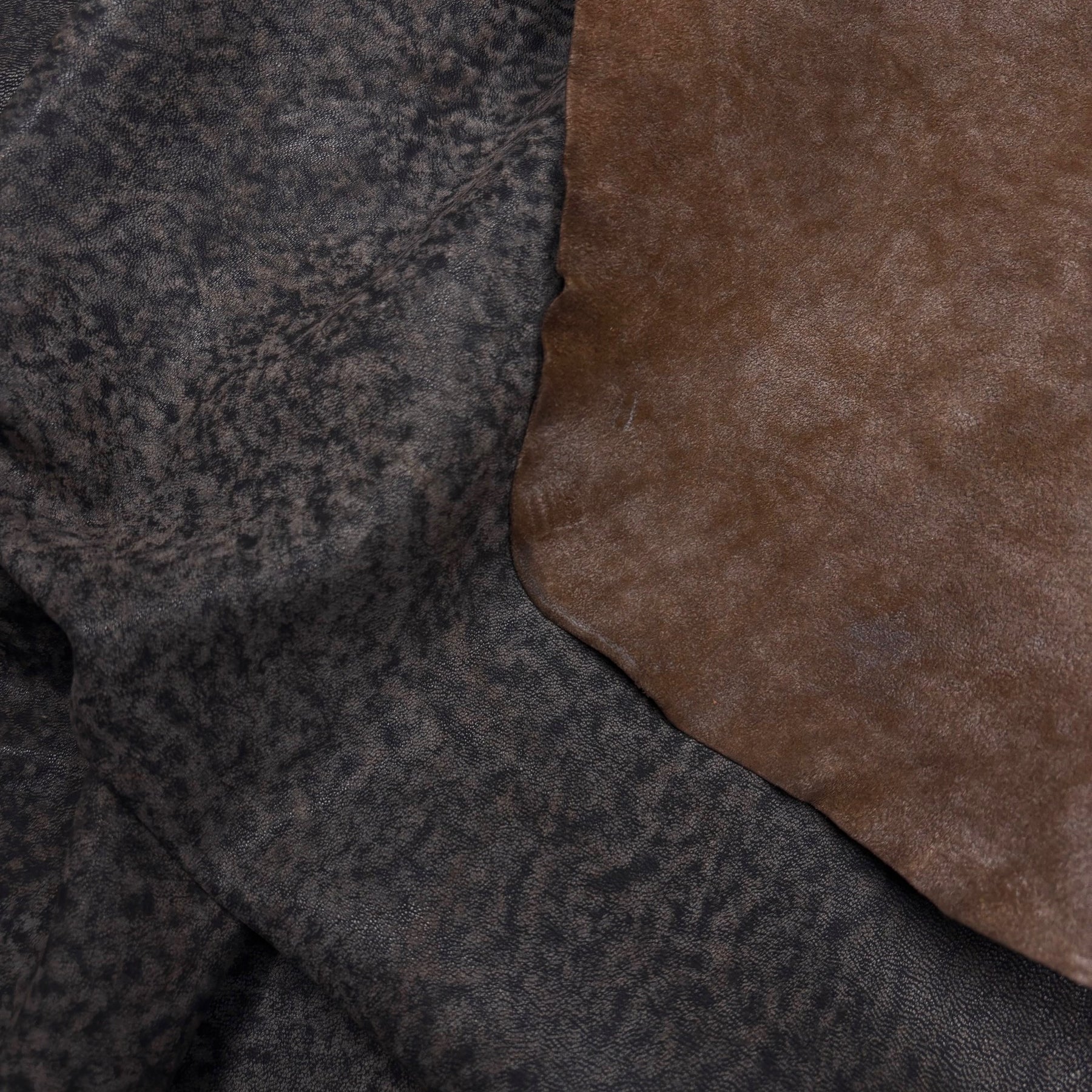 Fornax Lamb with Distressed Effect | Cloud