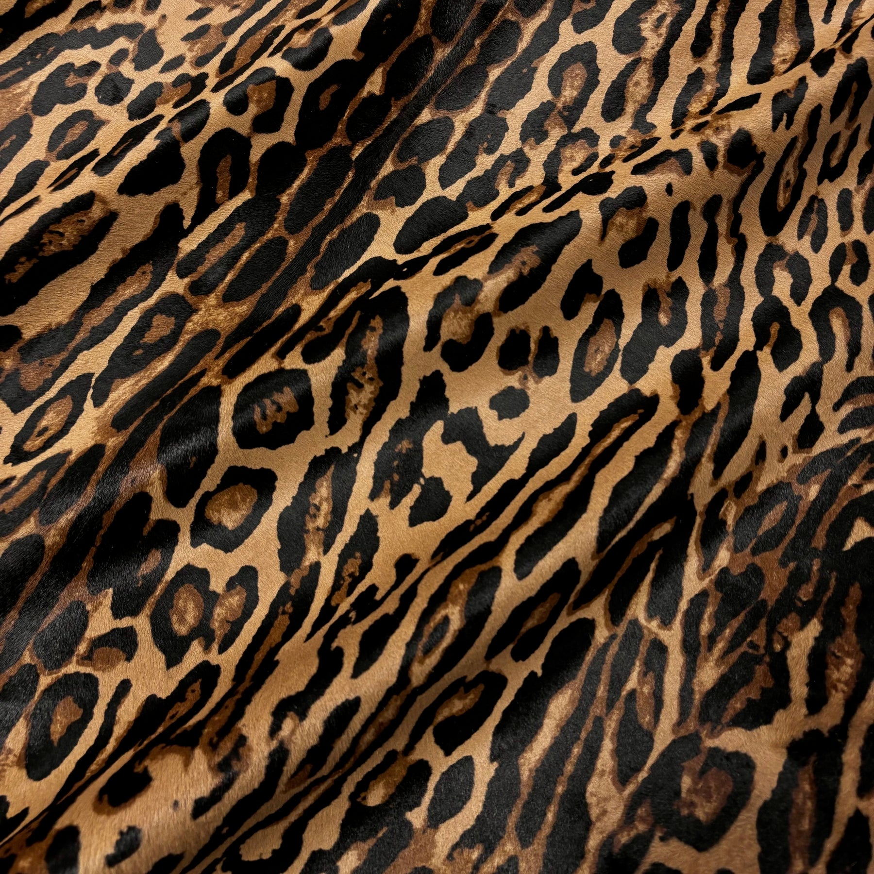 Cavalino Hair-On Leopard with Short Hair